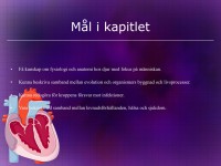 /album/hjart-och-karlsystemet/a6-hja%cc%88rt-och-ka%cc%88rlsystemet-002-jpeg/
